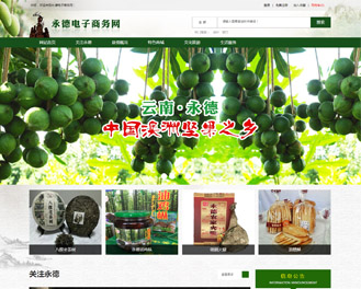 昆明電商網站建設